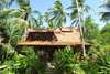 Coconut Village 